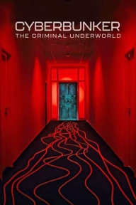 Cyberbunker: The Criminal Underworld