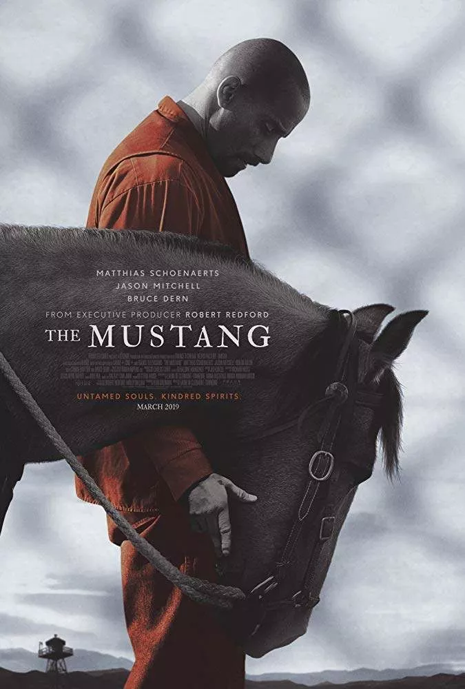 The Mustang Movie Download