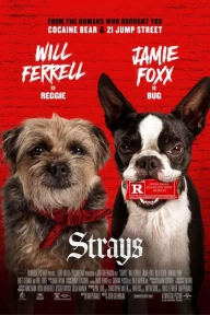 Strays