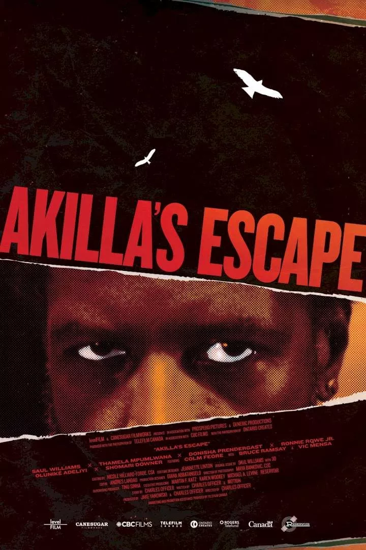 Akilla's Escape (2020)