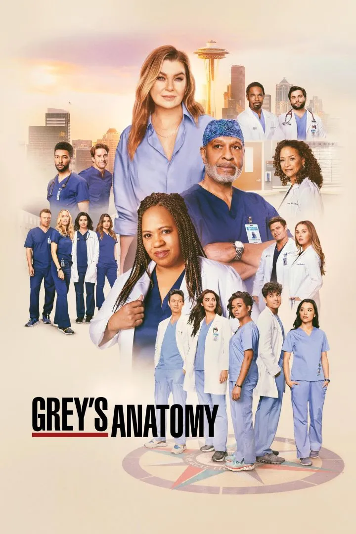 Grey's Anatomy (2005 Series)