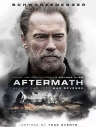 Aftermath (2017) movie poster
