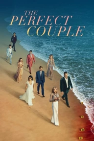 [Series Download] The Perfect Couple (Complete Season 1)