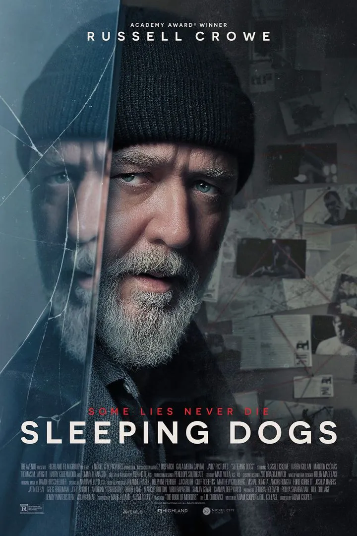 Sleeping Dogs - Netnaija Movies