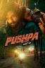 Pushpa: The Rise