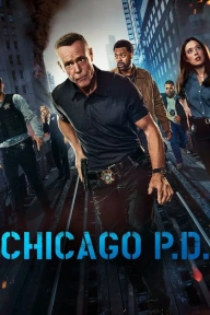 Chicago P.D. S12E04 - The After