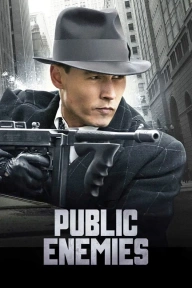 Public Enemies