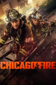 Chicago Fire S13E04 - Through the Skin