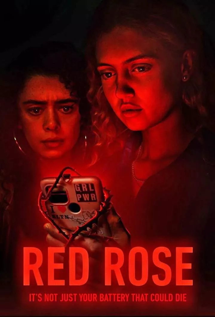 Red Rose (2022 Series)