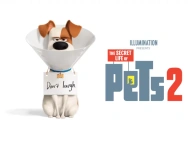 The Secret Life of Pets 2